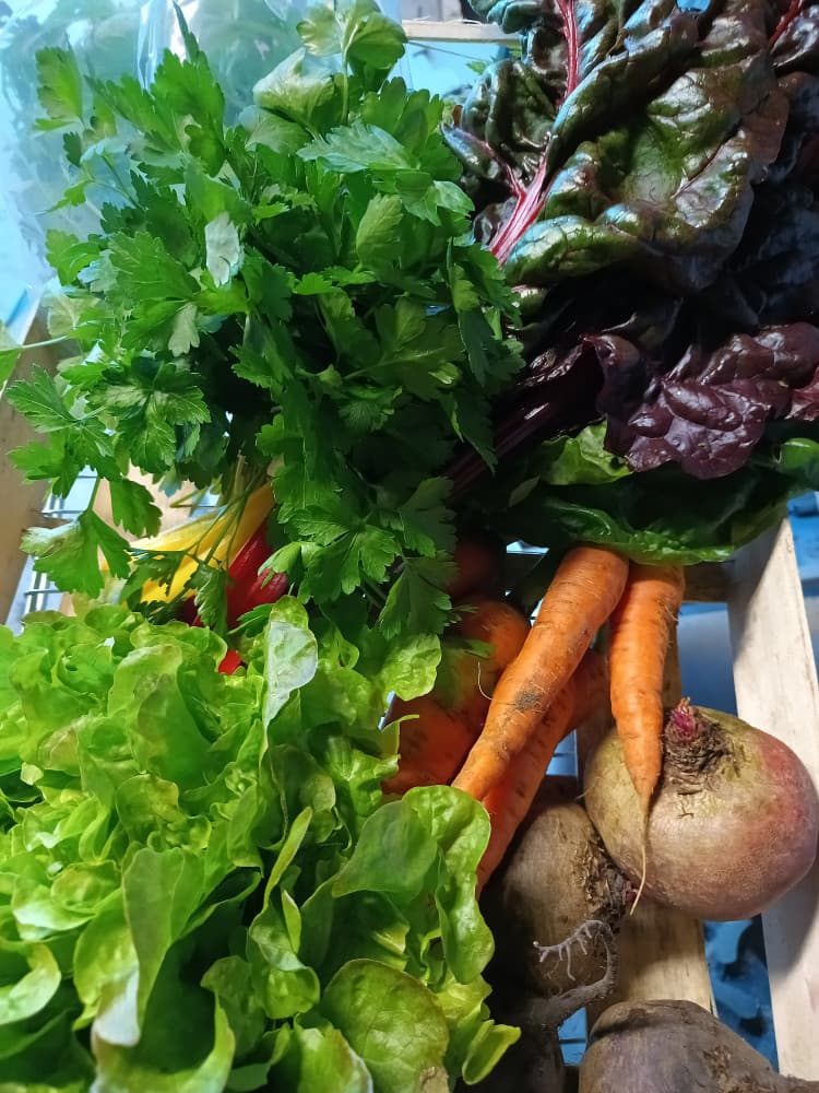 Petit Panier (hors abonnement) - Image 2