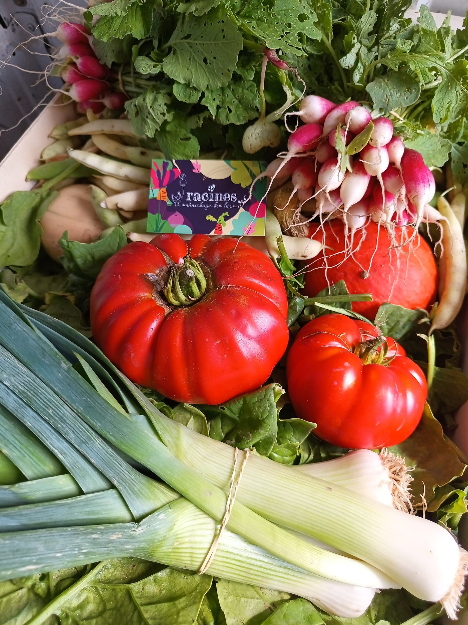 Grand Panier (hors abonnement)